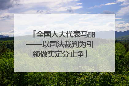 全国人大代表马丽——以司法裁判为引领做实定分止争