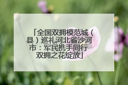 全国双拥模范城（县）巡礼河北省沙河市：军民携手同行 双拥之花绽放
