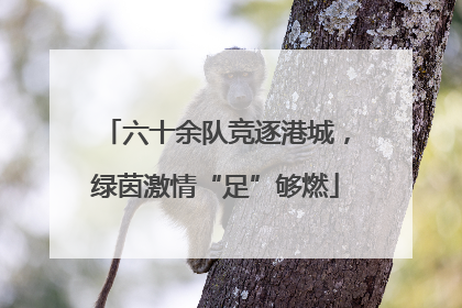 六十余队竞逐港城，绿茵激情“足”够燃