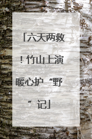 六天两救！竹山上演暖心护“野”记