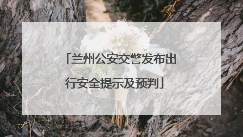 兰州公安交警发布出行安全提示及预判