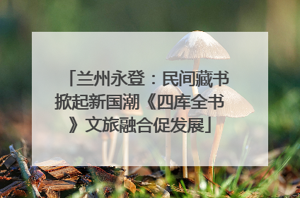 兰州永登：民间藏书掀起新国潮《四库全书》文旅融合促发展