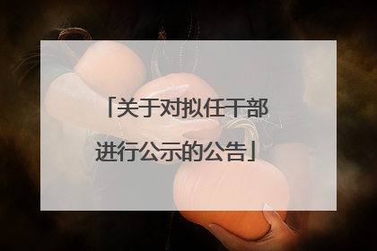 关于对拟任干部进行公示的公告