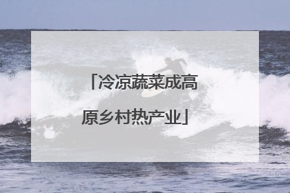 冷凉蔬菜成高原乡村热产业