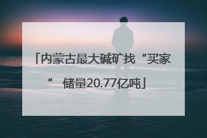 内蒙古最大碱矿找“买家” 储量20.77亿吨