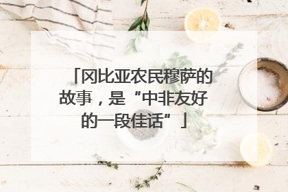 冈比亚农民穆萨的故事，是“中非友好的一段佳话”