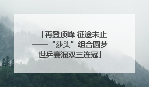 再登顶峰 征途未止——“莎头”组合圆梦世乒赛混双三连冠