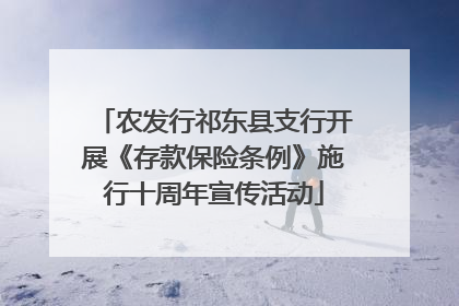 农发行祁东县支行开展《存款保险条例》施行十周年宣传活动