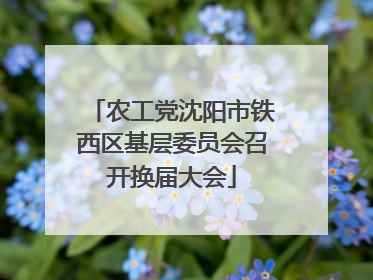 农工党沈阳市铁西区基层委员会召开换届大会