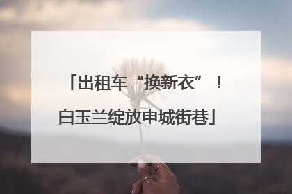 出租车“换新衣”！白玉兰绽放申城街巷