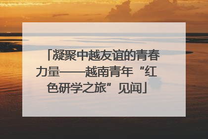凝聚中越友谊的青春力量——越南青年“红色研学之旅”见闻