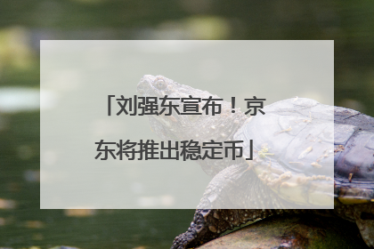刘强东宣布！京东将推出稳定币