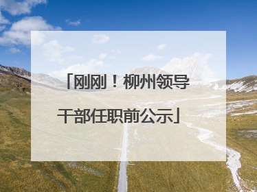 刚刚！柳州领导干部任职前公示