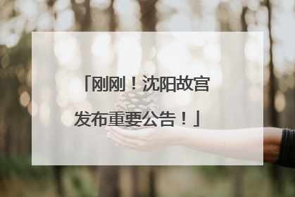 刚刚！沈阳故宫发布重要公告！
