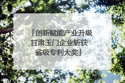 创新赋能产业升级 甘肃玉门企业斩获省级专利大奖