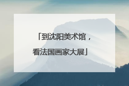 到沈阳美术馆，看法国画家大展