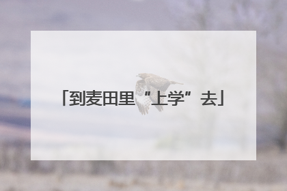 到麦田里“上学”去