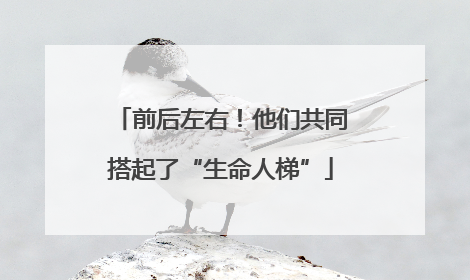 前后左右！他们共同搭起了“生命人梯”