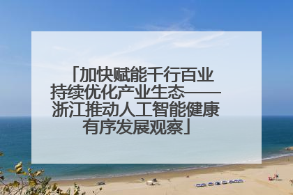 加快赋能千行百业 持续优化产业生态——浙江推动人工智能健康有序发展观察