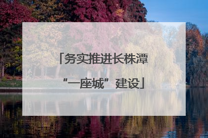 务实推进长株潭“一座城”建设
