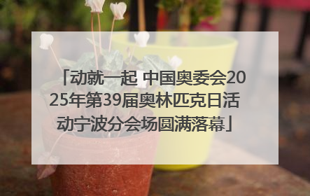 动就一起 中国奥委会2025年第39届奥林匹克日活动宁波分会场圆满落幕