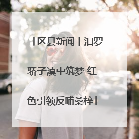 区县新闻丨汨罗骄子滇中筑梦 红色引领反哺桑梓