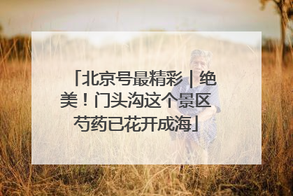 北京号最精彩｜绝美！门头沟这个景区芍药已花开成海