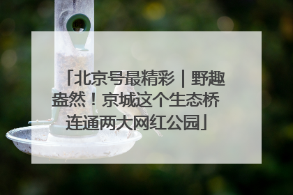 北京号最精彩｜野趣盎然！京城这个生态桥连通两大网红公园