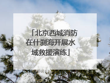 北京西城消防在什刹海开展水域救援演练