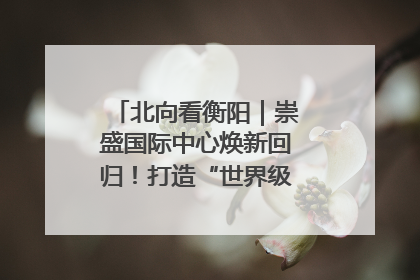 北向看衡阳｜崇盛国际中心焕新回归！打造“世界级美食主题公园”