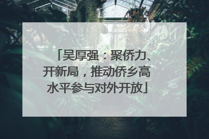 吴厚强：聚侨力、开新局，推动侨乡高水平参与对外开放