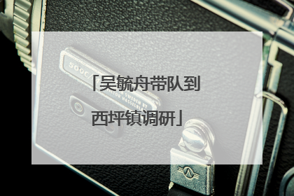 吴毓舟带队到西坪镇调研