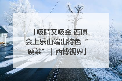吸睛又吸金 西博会上乐山端出特色“硬菜”｜西博视界
