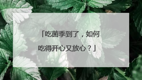 吃菌季到了，如何吃得开心又放心？