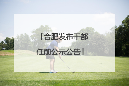合肥发布干部任前公示公告