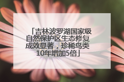吉林波罗湖国家级自然保护区生态修复成效显著，珍稀鸟类10年增加5倍