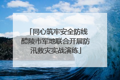同心筑牢安全防线 醴陵市军地联合开展防汛救灾实战演练