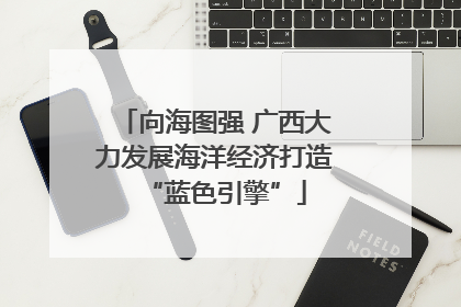 向海图强 广西大力发展海洋经济打造“蓝色引擎”