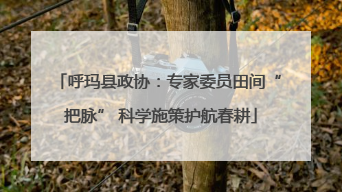 呼玛县政协：专家委员田间“把脉” 科学施策护航春耕