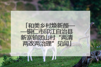 和美乡村焕新颜——铜仁市印江自治县新寨镇团山村“两清两改两治理”见闻