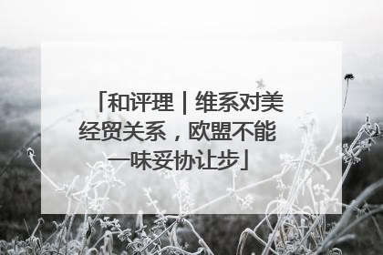 和评理｜维系对美经贸关系，欧盟不能一味妥协让步