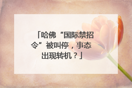 哈佛“国际禁招令”被叫停，事态出现转机？