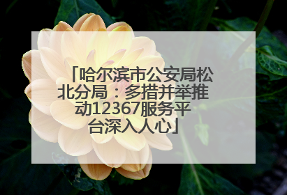 哈尔滨市公安局松北分局：多措并举推动12367服务平台深入人心
