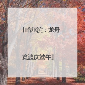哈尔滨：龙舟竞渡庆端午