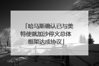 哈马斯确认已与美特使就加沙停火总体框架达成协议