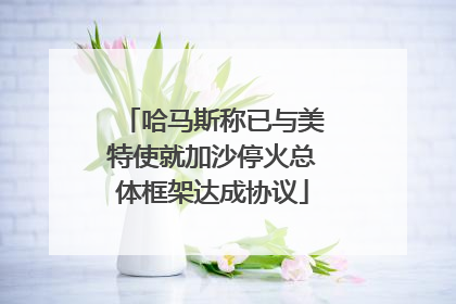 哈马斯称已与美特使就加沙停火总体框架达成协议