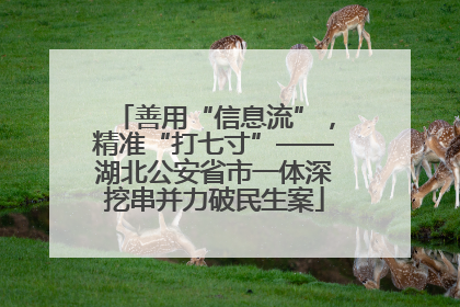善用“信息流”，精准“打七寸”——湖北公安省市一体深挖串并力破民生案