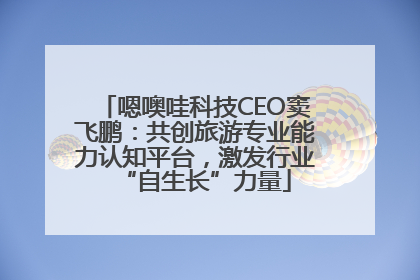 嗯噢哇科技CEO窦飞鹏：共创旅游专业能力认知平台，激发行业“自生长”力量