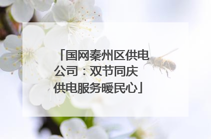 国网秦州区供电公司：双节同庆 供电服务暖民心