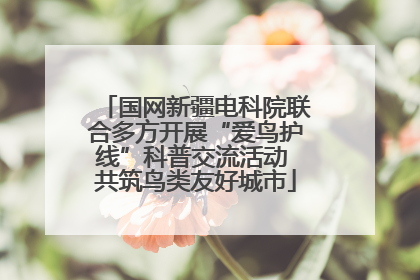 国网新疆电科院联合多方开展“爱鸟护线”科普交流活动 共筑鸟类友好城市